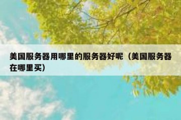 美国服务器用哪里的服务器好呢（美国服务器在哪里买）