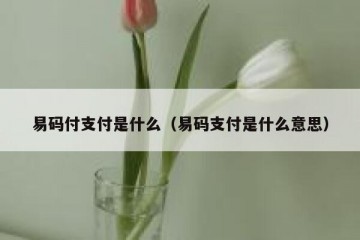 易码付支付是什么（易码支付是什么意思）