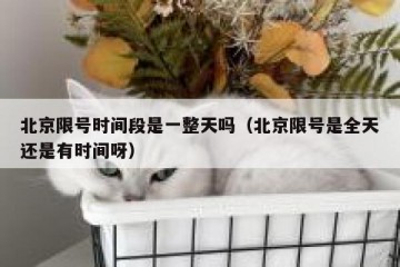 北京限号时间段是一整天吗（北京限号是全天还是有时间呀）