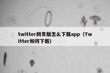 twitter网页版怎么下载app（Twitter如何下载）