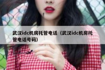 武汉idc机房托管电话（武汉idc机房托管电话号码）
