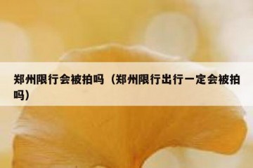 郑州限行会被拍吗（郑州限行出行一定会被拍吗）