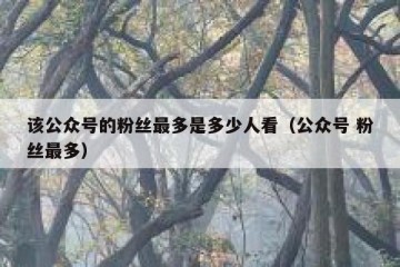 该公众号的粉丝最多是多少人看（公众号 粉丝最多）