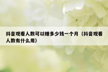 抖音观看人数可以赚多少钱一个月（抖音观看人数有什么用）