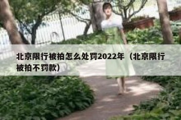 北京限行被拍怎么处罚2022年（北京限行被拍不罚款）