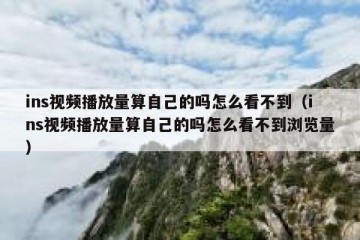 ins视频播放量算自己的吗怎么看不到（ins视频播放量算自己的吗怎么看不到浏览量）