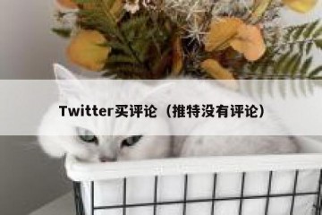 Twitter买评论（推特没有评论）