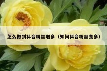 怎么做到抖音粉丝增多（如何抖音粉丝变多）