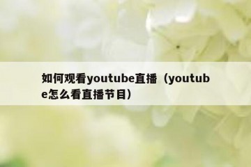 如何观看youtube直播（youtube怎么看直播节目）
