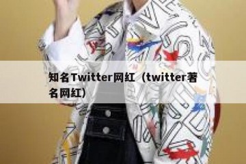 知名Twitter网红（twitter著名网红）