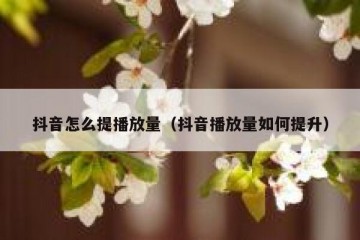 抖音怎么提播放量（抖音播放量如何提升）