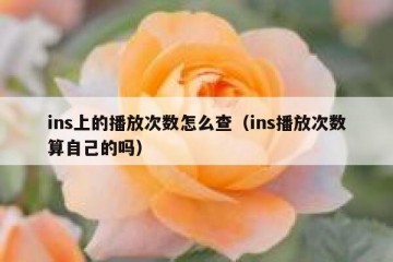 ins上的播放次数怎么查（ins播放次数算自己的吗）