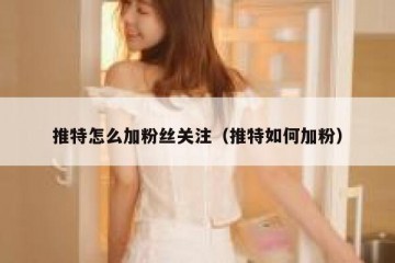推特怎么加粉丝关注（推特如何加粉）