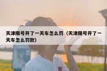 天津限号开了一天车怎么罚（天津限号开了一天车怎么罚款）