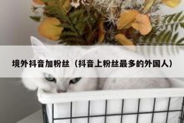 境外抖音加粉丝（抖音上粉丝最多的外国人）