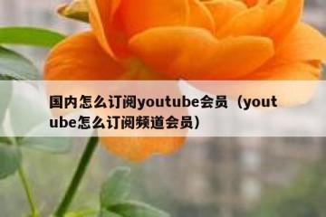 国内怎么订阅youtube会员（youtube怎么订阅频道会员）