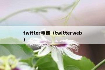 twitter电商（twitterweb）