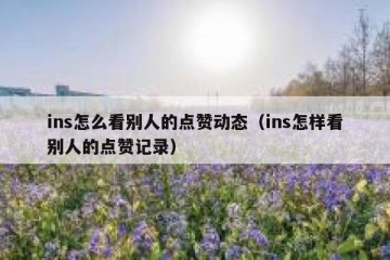 ins怎么看别人的点赞动态（ins怎样看别人的点赞记录）