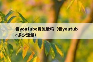 看youtube费流量吗（看youtube多少流量）
