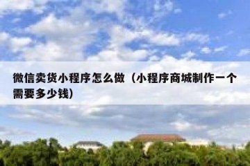 微信卖货小程序怎么做（小程序商城制作一个需要多少钱）