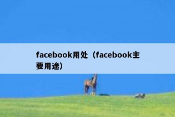 facebook用处（facebook主要用途）