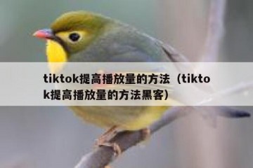 tiktok提高播放量的方法（tiktok提高播放量的方法黑客）