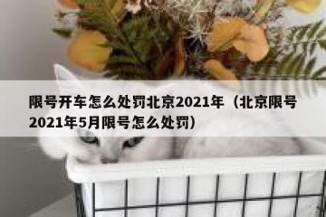 限号开车怎么处罚北京2021年（北京限号2021年5月限号怎么处罚）