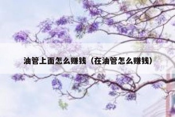 油管上面怎么赚钱（在油管怎么赚钱）