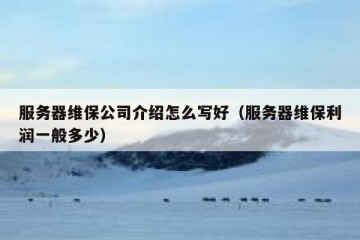 服务器维保公司介绍怎么写好（服务器维保利润一般多少）
