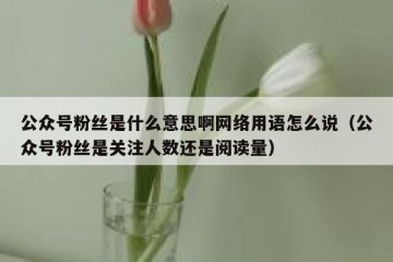 公众号粉丝是什么意思啊网络用语怎么说（公众号粉丝是关注人数还是阅读量）