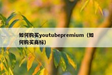 如何购买youtubepremium（如何购买商标）
