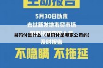 易码付是什么（易码付是哪家公司的）