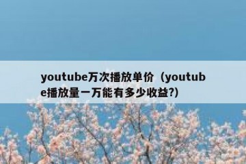 youtube万次播放单价（youtube播放量一万能有多少收益?）