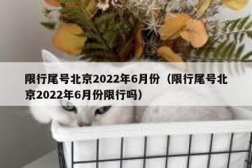 限行尾号北京2022年6月份（限行尾号北京2022年6月份限行吗）