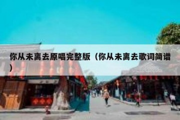 你从未离去原唱完整版（你从未离去歌词简谱）
