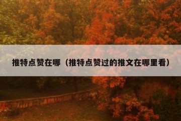 推特点赞在哪（推特点赞过的推文在哪里看）