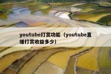 youtube打赏功能（youtube直播打赏收益多少）