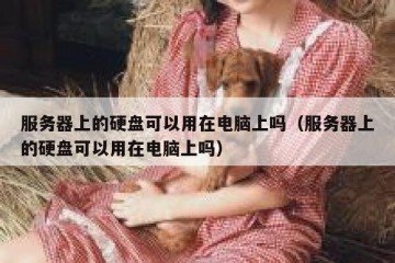 服务器上的硬盘可以用在电脑上吗（服务器上的硬盘可以用在电脑上吗）