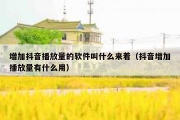 增加抖音播放量的软件叫什么来着（抖音增加播放量有什么用）