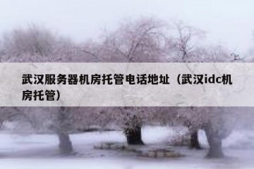 武汉服务器机房托管电话地址（武汉idc机房托管）