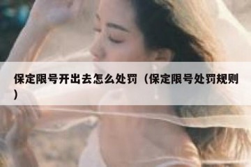 保定限号开出去怎么处罚（保定限号处罚规则）
