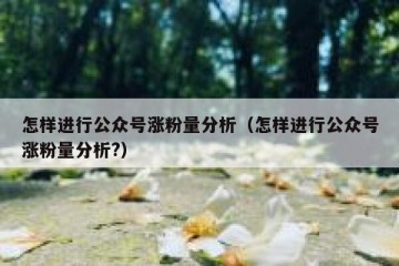 怎样进行公众号涨粉量分析（怎样进行公众号涨粉量分析?）