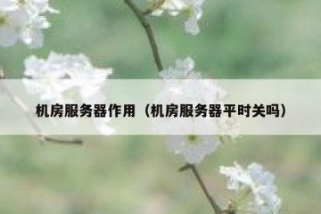 机房服务器作用（机房服务器平时关吗）