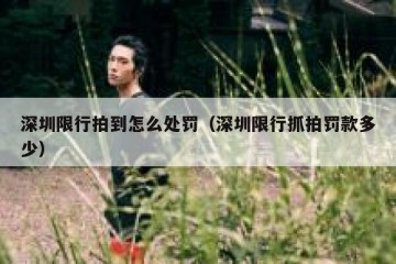 深圳限行拍到怎么处罚（深圳限行抓拍罚款多少）