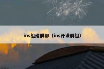 ins组建群聊（ins开设群组）