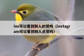 ins可以看到别人的赞吗（instagram可以看到别人点赞吗）
