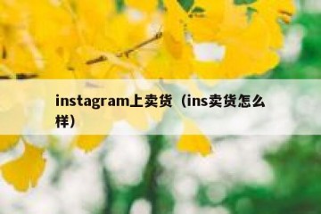 instagram上卖货（ins卖货怎么样）