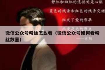 微信公众号粉丝怎么看（微信公众号如何看粉丝数量）