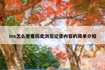 ins怎么查看历史浏览记录内容的简单介绍