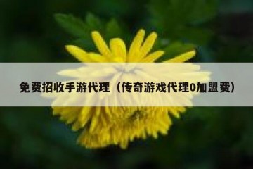 免费招收手游代理（传奇游戏代理0加盟费）